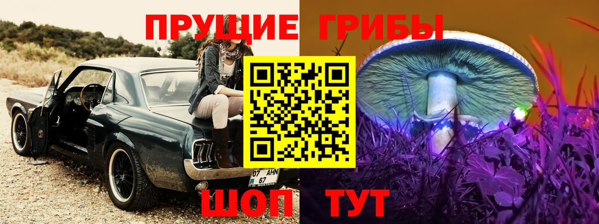 Псилоцибиновые грибы Magic Shrooms Архангельск